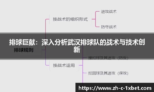 排球巨献：深入分析武汉排球队的战术与技术创新